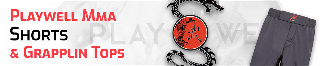 (image for) Playwell